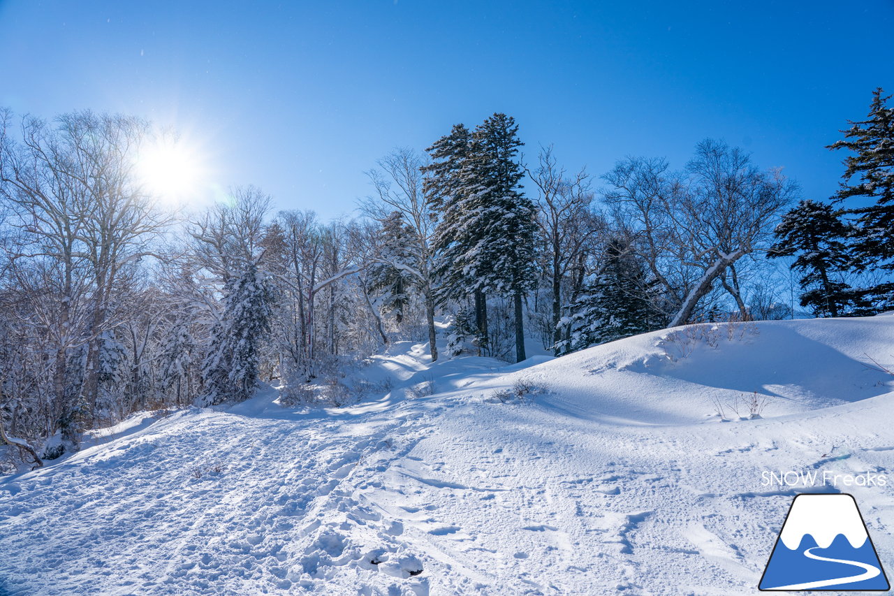 大雪山層雲峡・黒岳ロープウェイスキー場｜雪質も、景色も。やはり黒岳は別格。パウダースノーが舞う、北海道最高所にあるスキー場が営業開始！